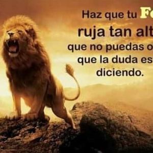 Meet your Posher, Gloria